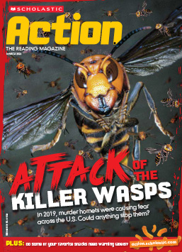 Magazine Issue Cover